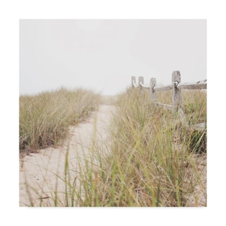 Laura Marshall 'To The Beach Path' Canvas Art,24x24